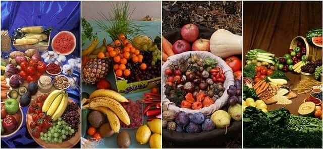 The Power of Plant-Based Nutrition: A Guide to a Balanced Vegan Diet